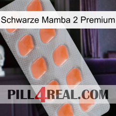 Black Mamba 2 Premium 26
